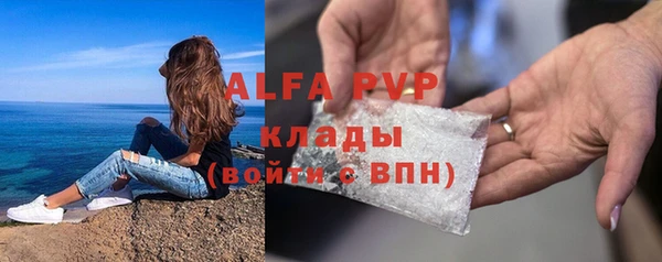 ПСИЛОЦИБИНОВЫЕ ГРИБЫ Инсар