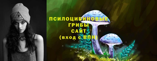 ПСИЛОЦИБИНОВЫЕ ГРИБЫ Инсар