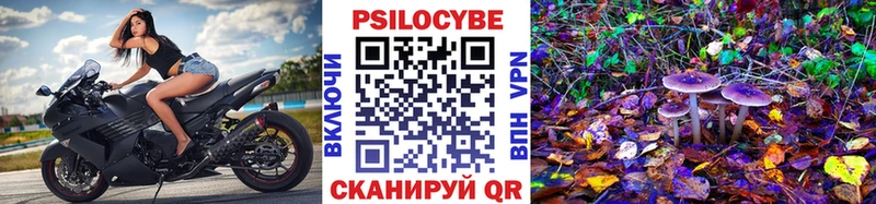 Купить  Билибино  Галлюциногенные грибы мицелий 
